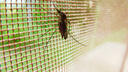 Okenní sítě proti hmyzu