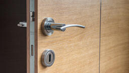 Jak vybrat bezpečnostní vchodové dveře do bytu a domu?