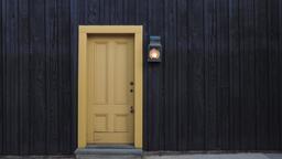 Vchodové dveře – dřevo, plast, hliník